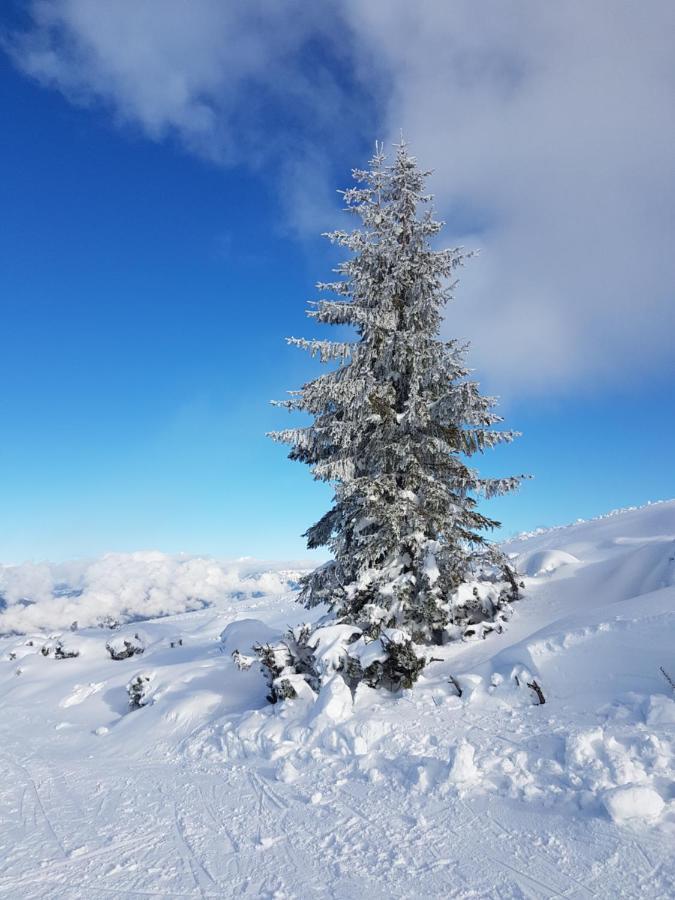 Flachauer Bergkristall Exteriér fotografie